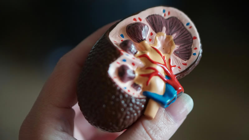 針對洗腎患者，中醫治療的方式有哪些？